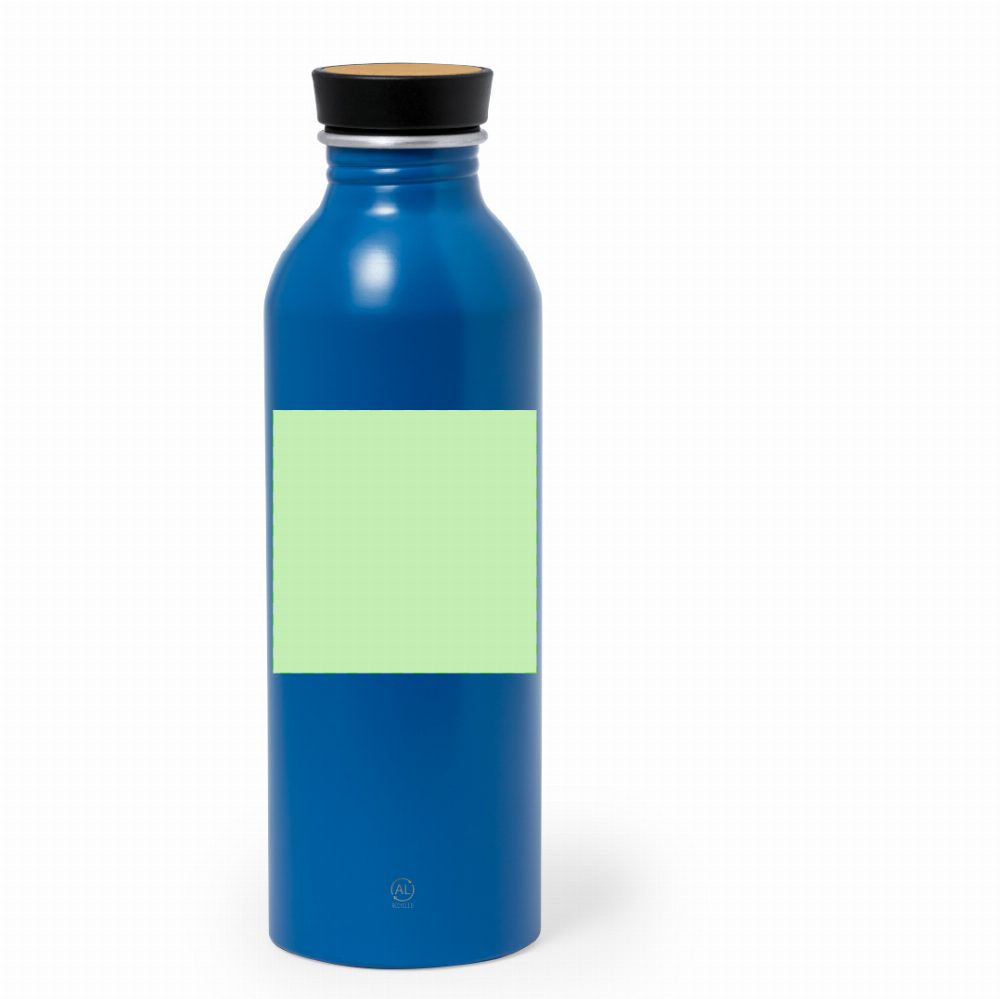 Branding diagram for Recycled aluminium drinking bottle, 550 ml Claud – Front, central