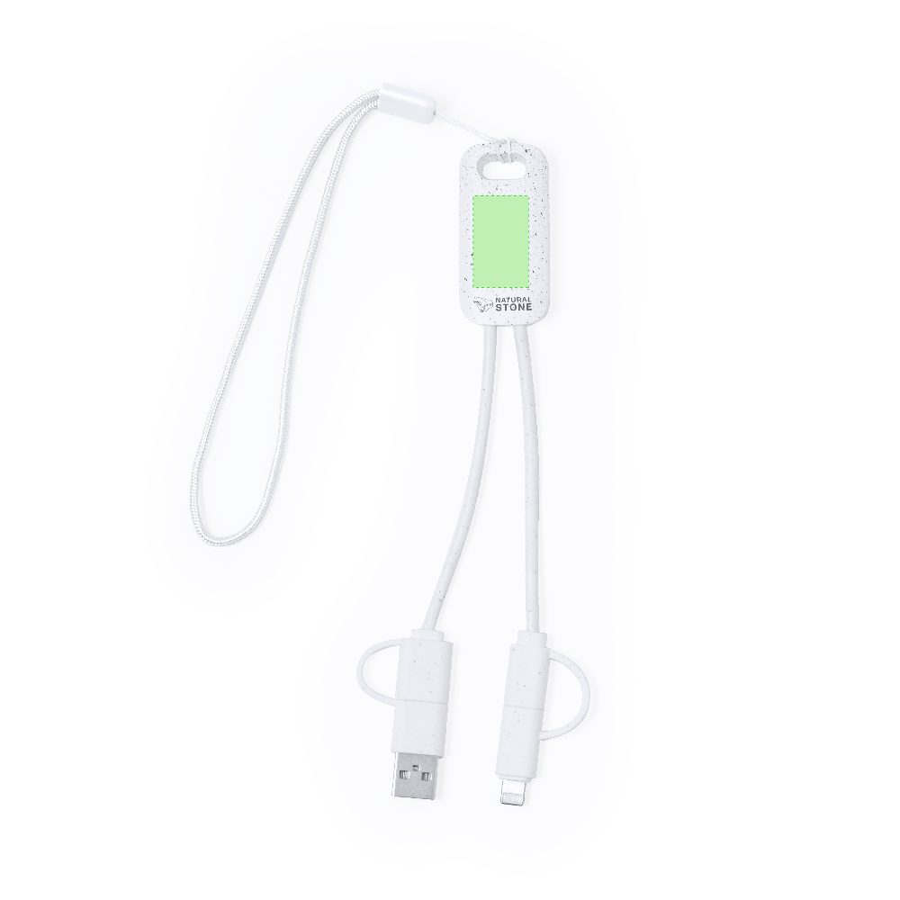 Branding diagram for Charging cables Surgex – Area 1