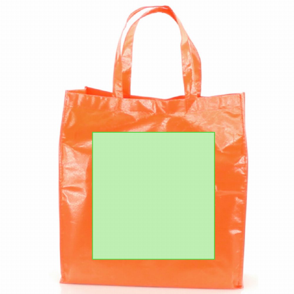 Branding diagram for Non-woven shopping bags Divia – Page B