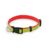 Hundehalsband Muttley - rot, Farbe: rot personalisierte Geschenke 