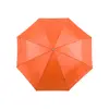 Umbrella Ziant