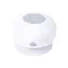 Speaker Rariax