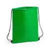 Kühltasche Rucksack Nipex - grün