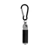 Torch keyring Wols