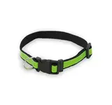 Hundehalsband Muttley