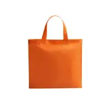 Bag Nox