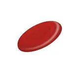 Frisbee Girox