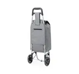 Einkaufstrolley Daggio