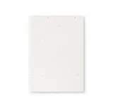 Seeds notepad Zomek