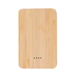 Power bank Newin