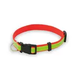 Hundehalsband Muttley