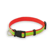 Hundehalsband Muttley, Farbe: rot personalisierte Geschenke 