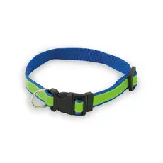 Hundehalsband Muttley, Farbe: blau personalisierte Geschenke 