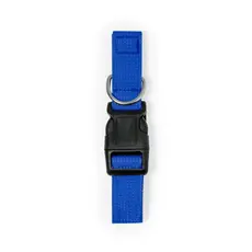 Hundehalsband Mastif, Farbe: blau personalisierte Geschenke 