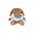 Teddy Chamox, Color: brown