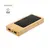 Powerbank Molden