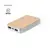 Power Bank Newin