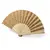Fan Kasol