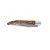 Pocket knife Rinex