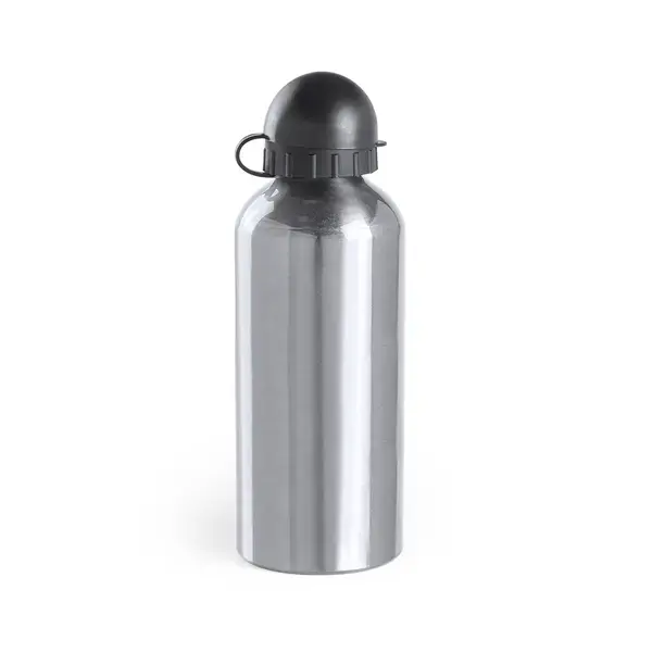 Trinkflasche Barrister - silber, Farbe: silber personalisierte Geschenke 
