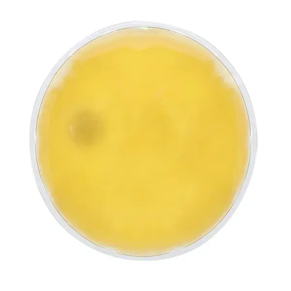 Taschenwärmer Kison - gelb, Farbe: gelb personalisierte Geschenke , 2 image