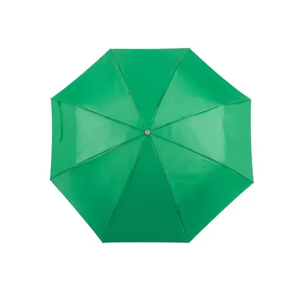 Regenschirm Ziant - grün, Farbe: grün personalisierte Geschenke 