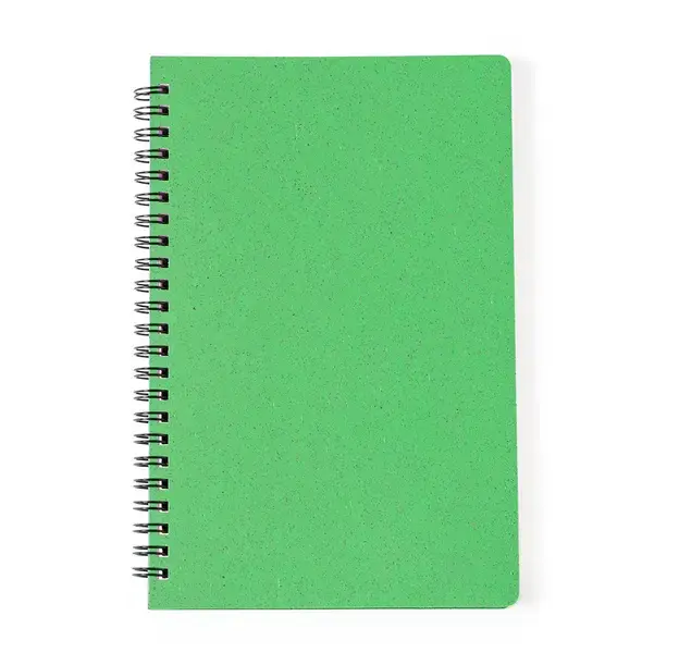Notizbuch Roshan - grün, Farbe: grün personalisierte Geschenke 