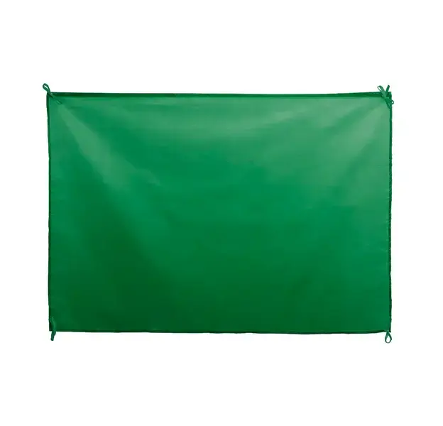 Fahne Dambor - grün, Farbe: grün personalisierte Geschenke , 2 image