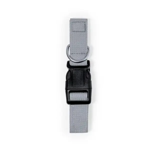 Hundehalsband Mastif - grau, Farbe: grau personalisierte Geschenke , 3 image