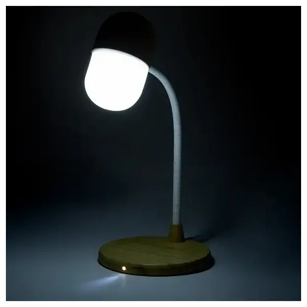 Multifunction lamp Lars