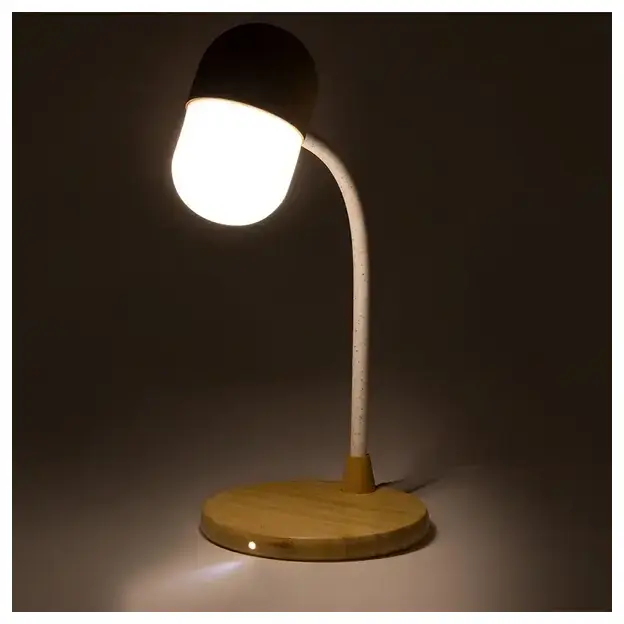 Multifunction lamp Lars