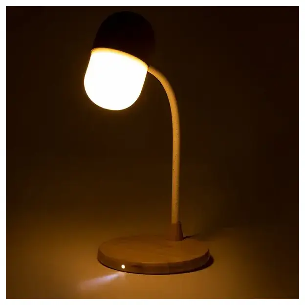 Multifunction lamp Lars