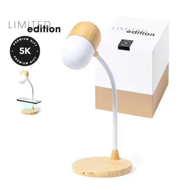Multifunction lamp Lars