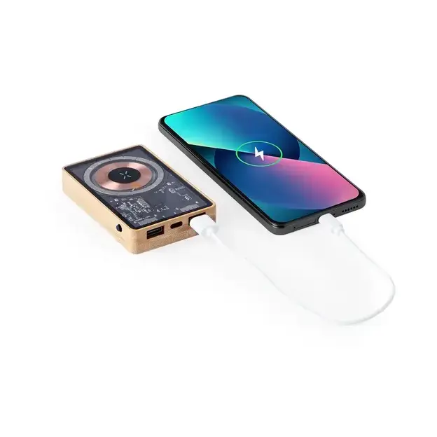 Powerbank Dominik