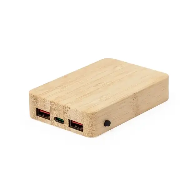 Powerbank Dominik