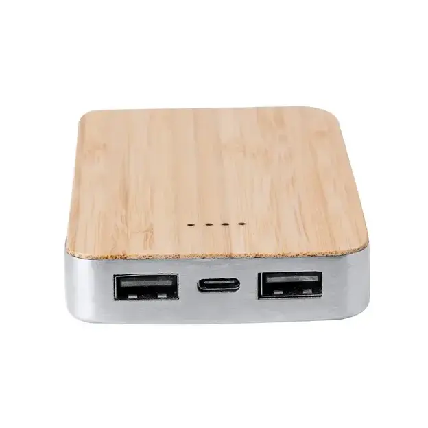 Power bank Newin