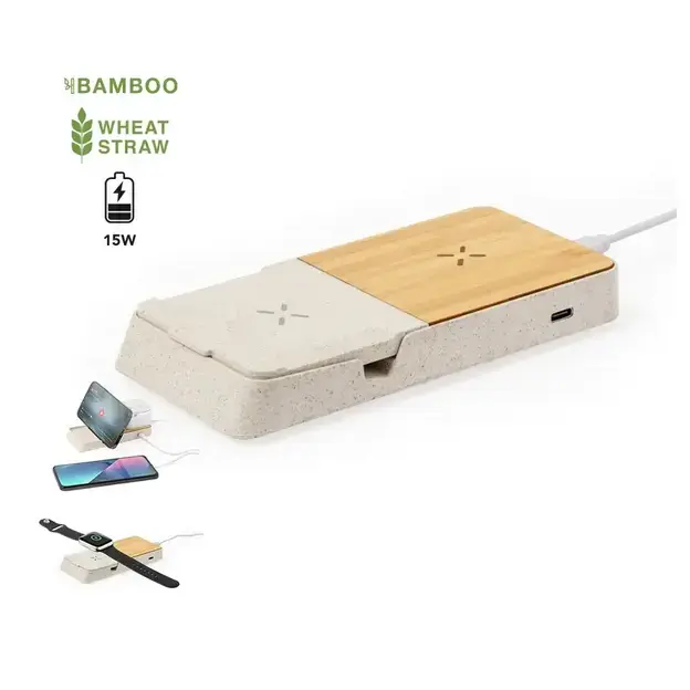 Charger Barichen