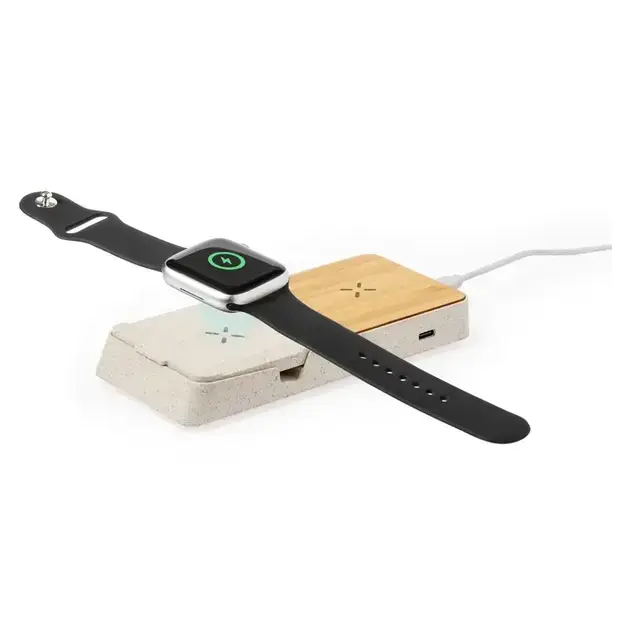 Charger Barichen