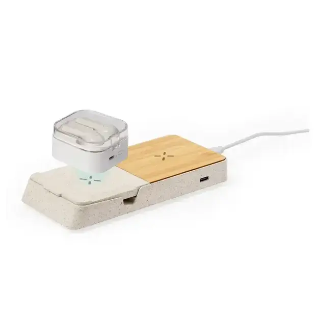 Charger Barichen