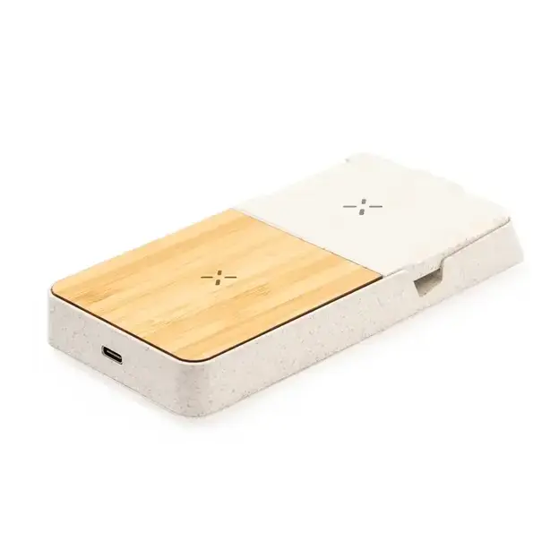 Charger Barichen