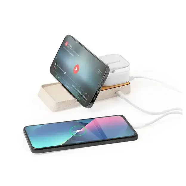 Charger Barichen