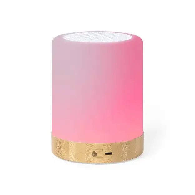 Speaker Nalow