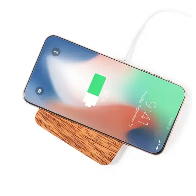 Charger Raston