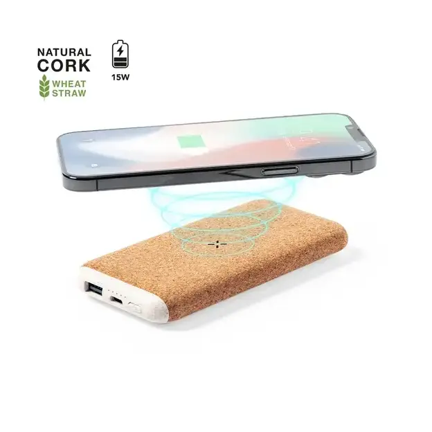 Powerbank Limerick