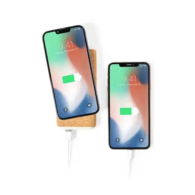 Powerbank Limerick