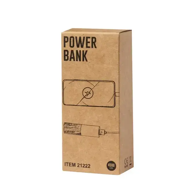 Power bank Reneh