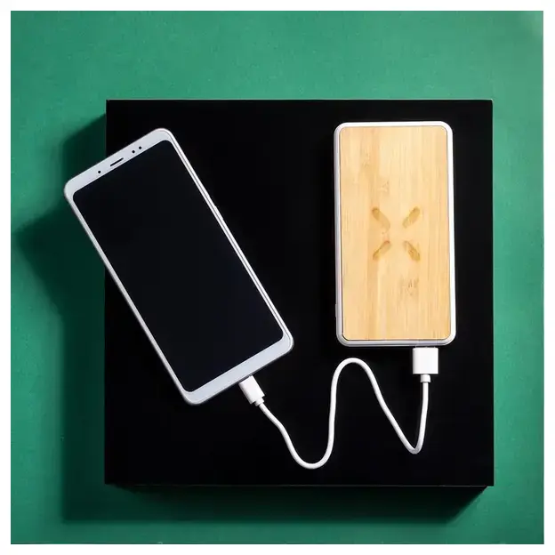 Powerbank Dickens