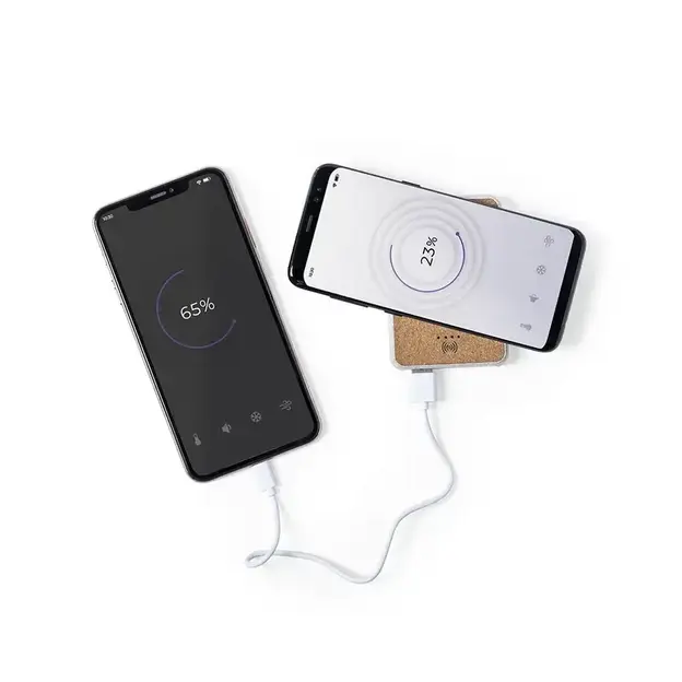 Powerbank Merak