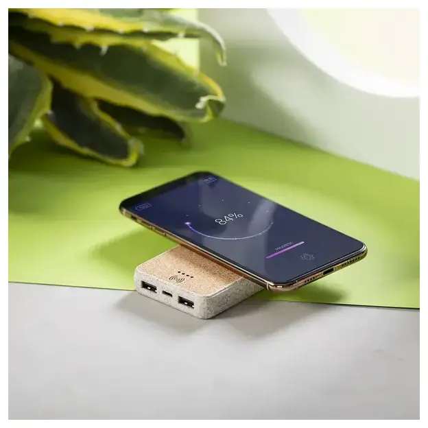 Powerbank Merak