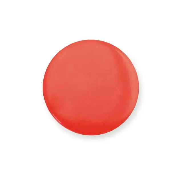 Pin Turmi